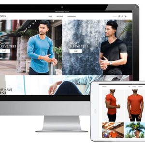 Ecommerce shopify store development